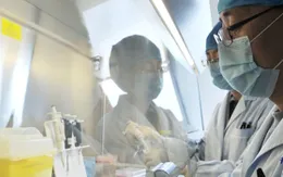 Trung Quốc: Bệnh nhân 4 tuổi nhiễm H7N9 bình phục